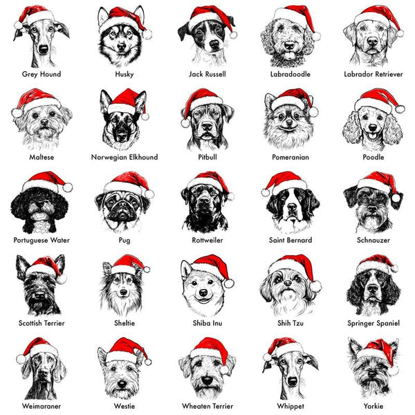 Santa Paws™ Christmas Dog Sweatshirt — 50 Breeds, 1 Festive Spirit 🎅