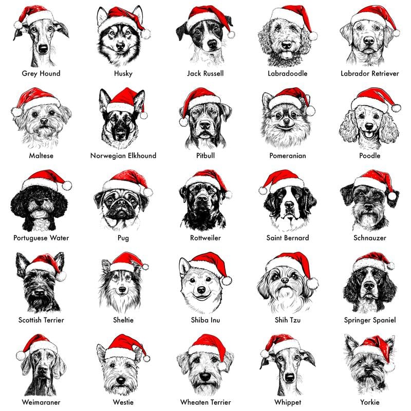 Santa Paws™ Christmas Dog Sweatshirt — 50 Breeds, 1 Festive Spirit 🎅