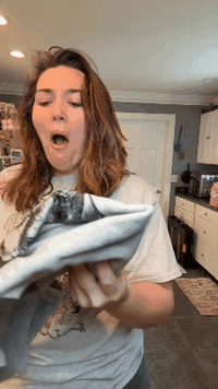 Santa Paws™ Christmas Dog Sweatshirt — 50 Breeds, 1 Festive Spirit 🎅